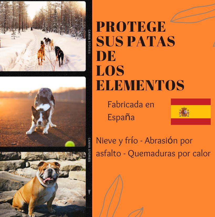 Crema almohadillas perros: Cuida y protege las patitas y trufa de tu mascota (250ml) | Petsitively